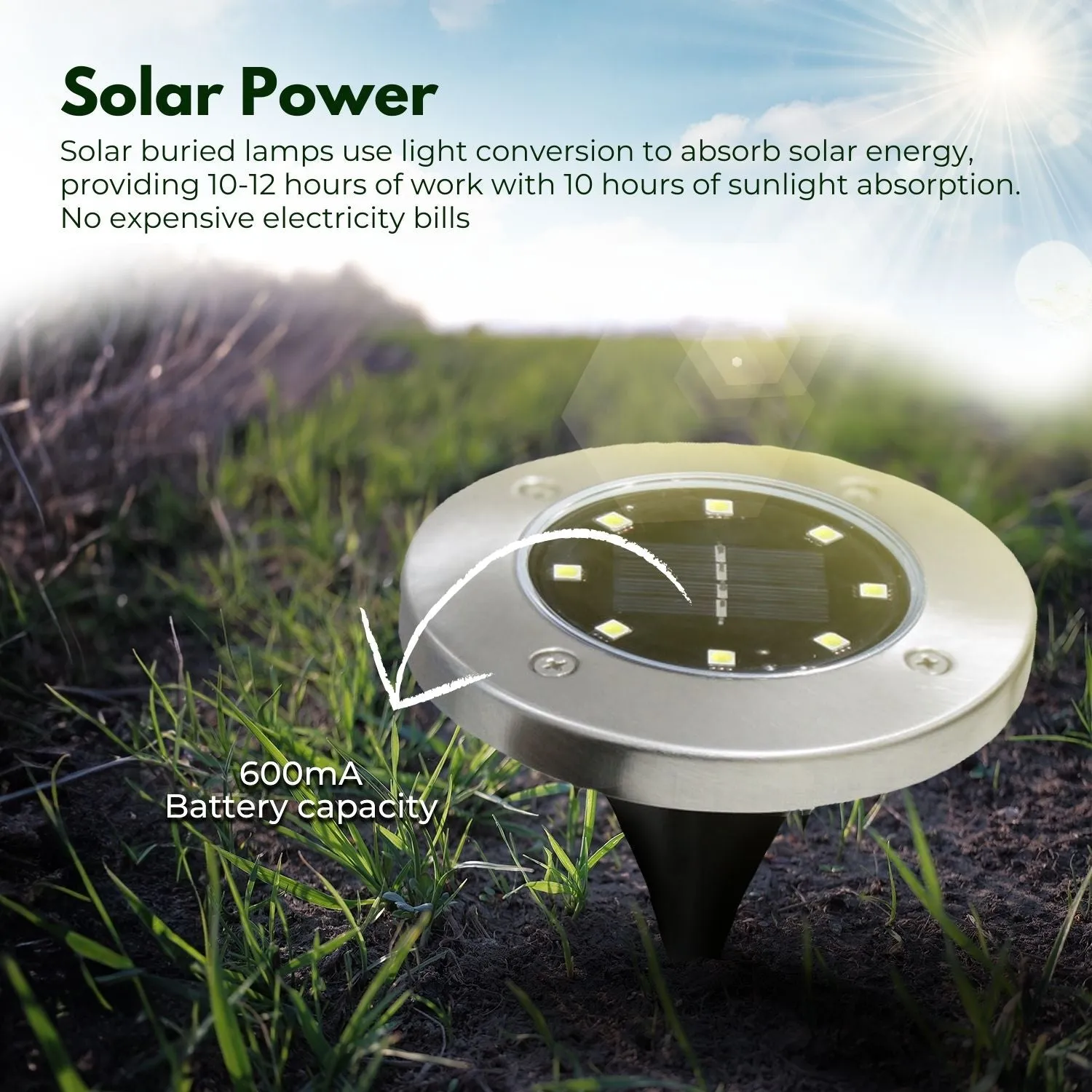 12 Pack IP65 Waterproof Solar LED Lights for Garden