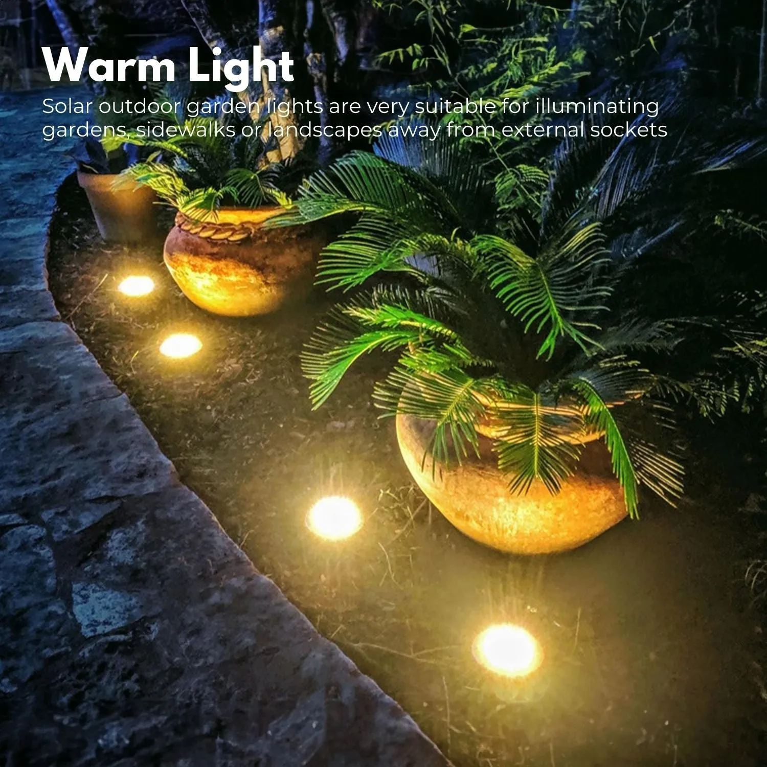 12 Pack IP65 Waterproof Solar LED Lights for Garden