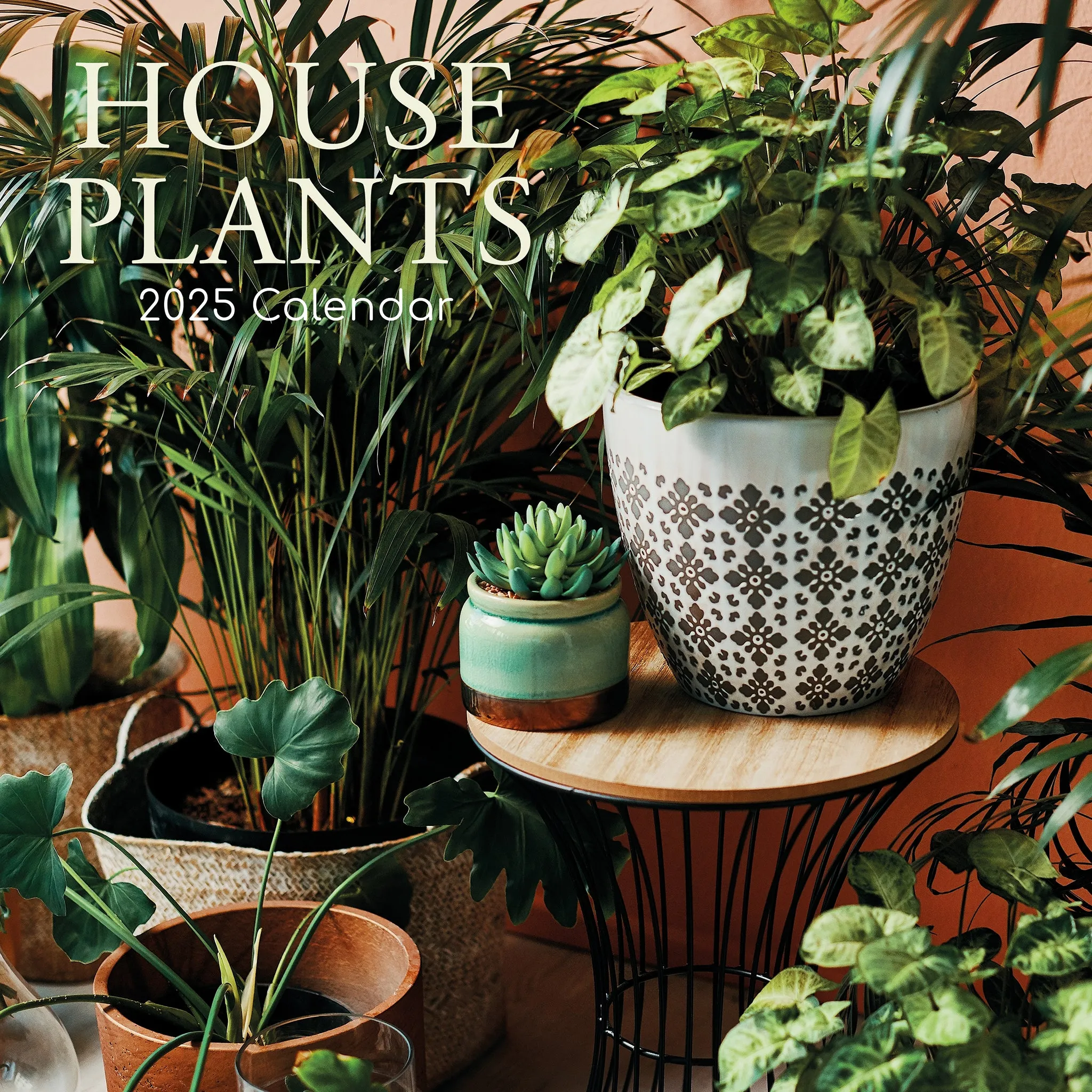 2025 House Plants Wall Calendar