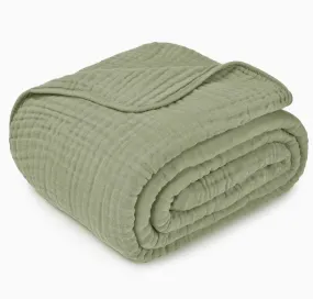 Adult Muslin Cotton Throw - Sage