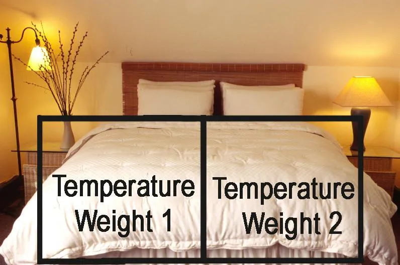 All-Natural Dual-Weight Comforter