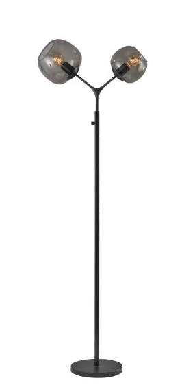 Ashton 2-Light Floor Lamp in Matte Black