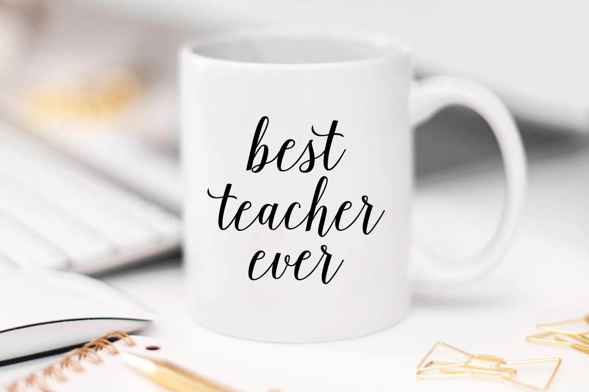 Best Teacher Ever Mug