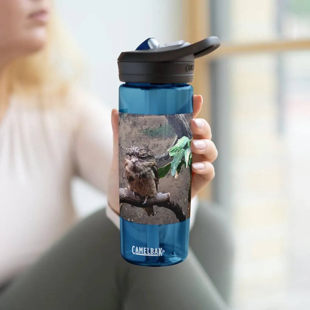 Bird Owl CamelBak Eddy®  Water Bottle, 20oz / 25oz