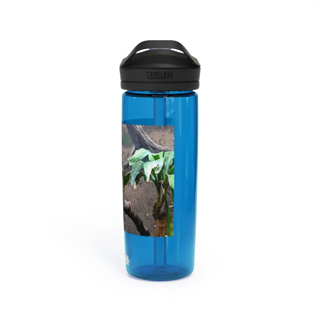 Bird Owl CamelBak Eddy®  Water Bottle, 20oz / 25oz