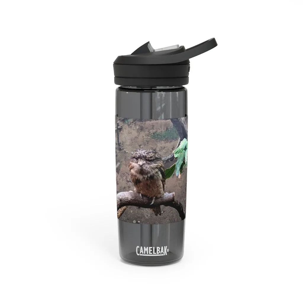 Bird Owl CamelBak Eddy®  Water Bottle, 20oz / 25oz