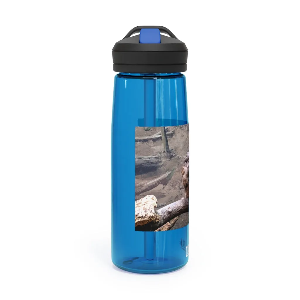 Bird Owl CamelBak Eddy®  Water Bottle, 20oz / 25oz