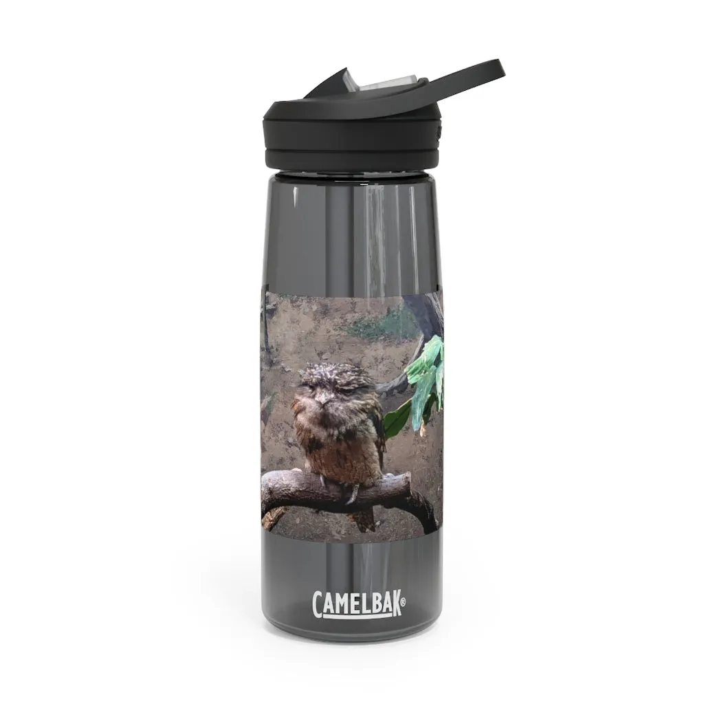 Bird Owl CamelBak Eddy®  Water Bottle, 20oz / 25oz