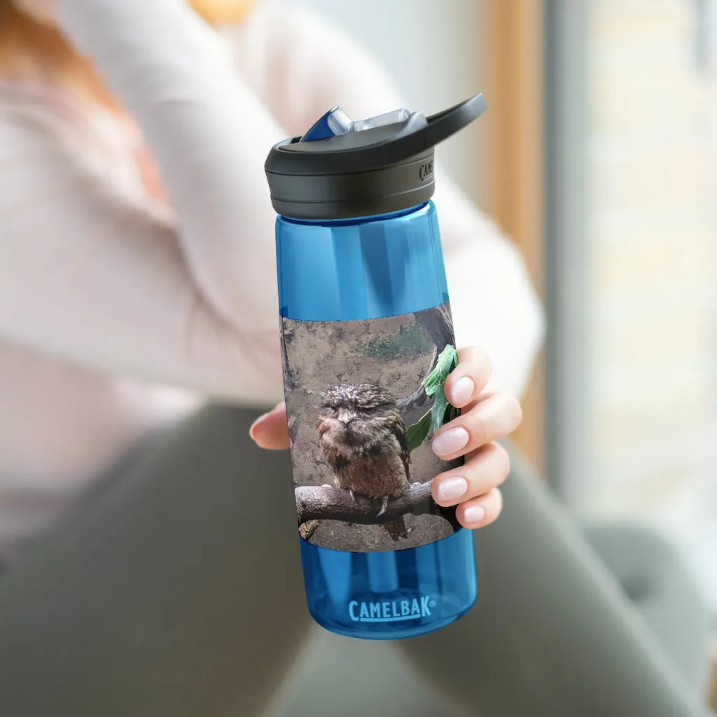 Bird Owl CamelBak Eddy®  Water Bottle, 20oz / 25oz