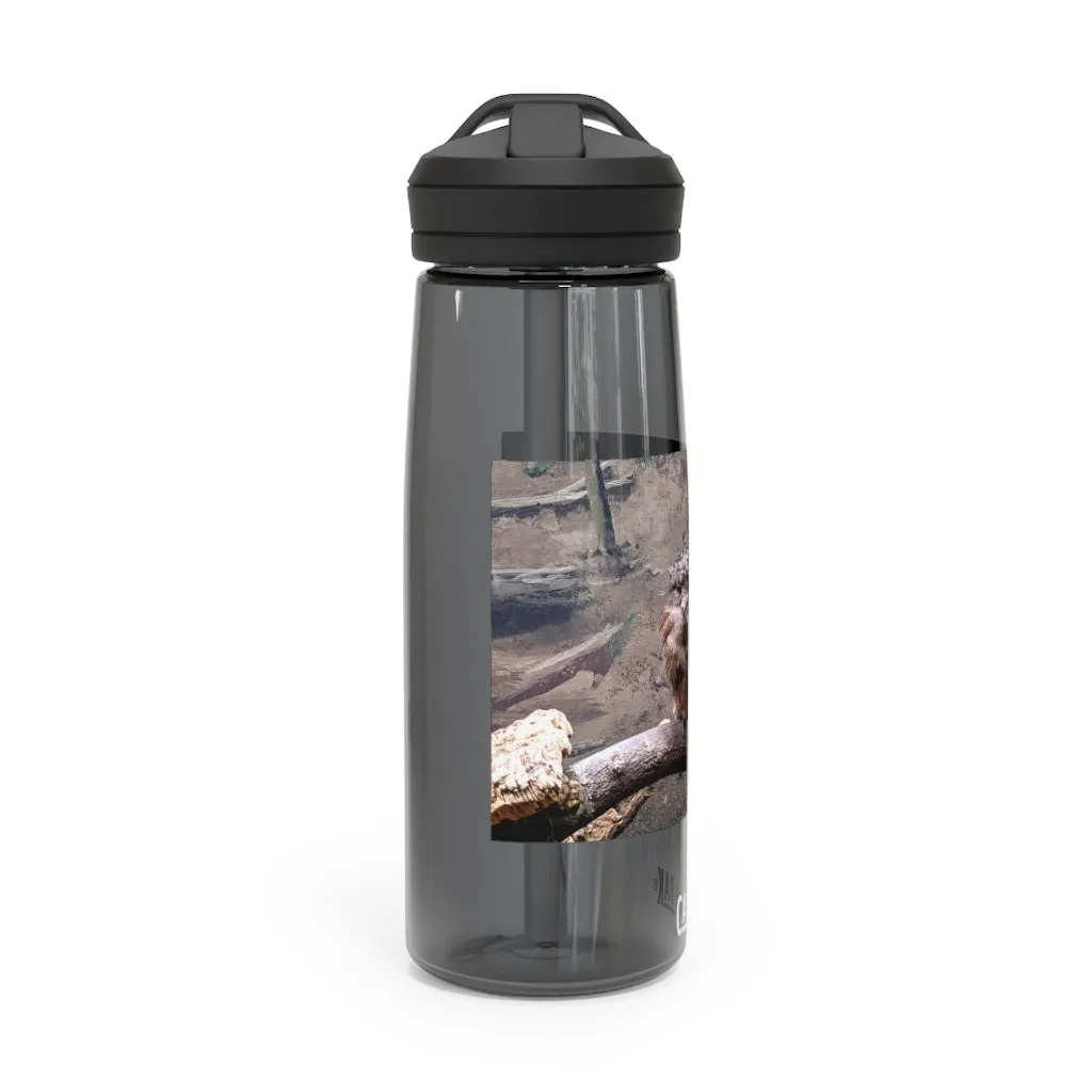 Bird Owl CamelBak Eddy®  Water Bottle, 20oz / 25oz