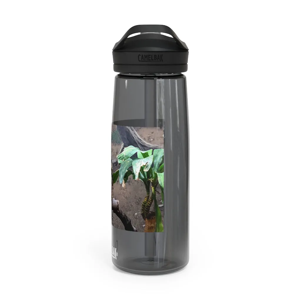 Bird Owl CamelBak Eddy®  Water Bottle, 20oz / 25oz