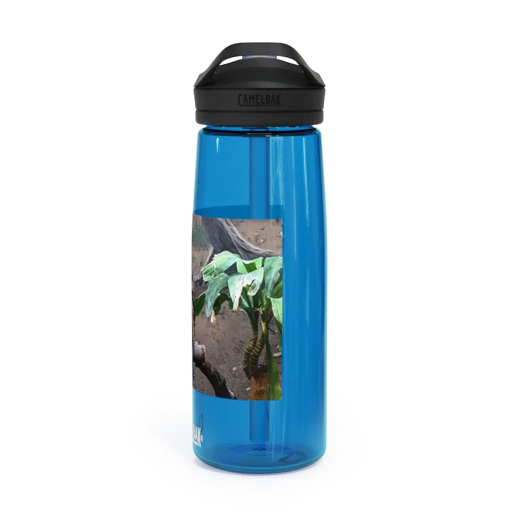 Bird Owl CamelBak Eddy®  Water Bottle, 20oz / 25oz