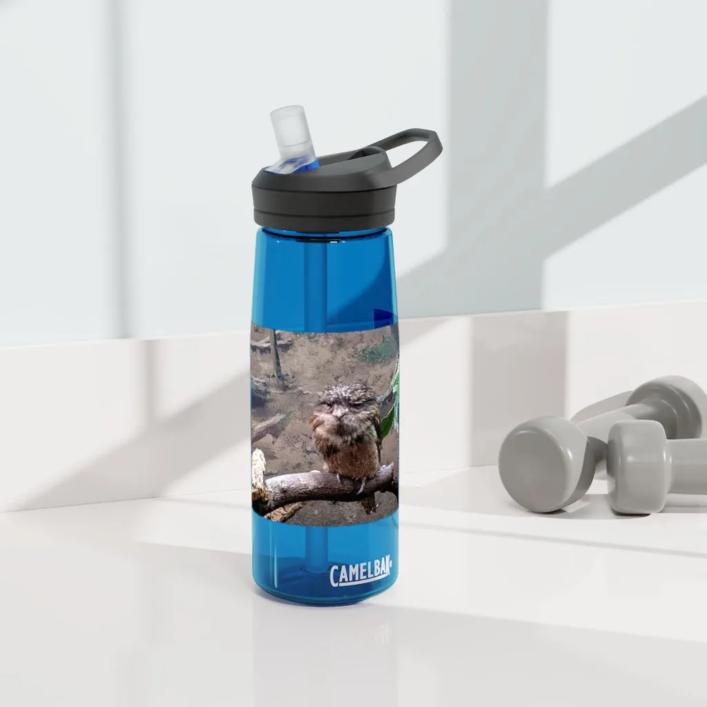 Bird Owl CamelBak Eddy®  Water Bottle, 20oz / 25oz