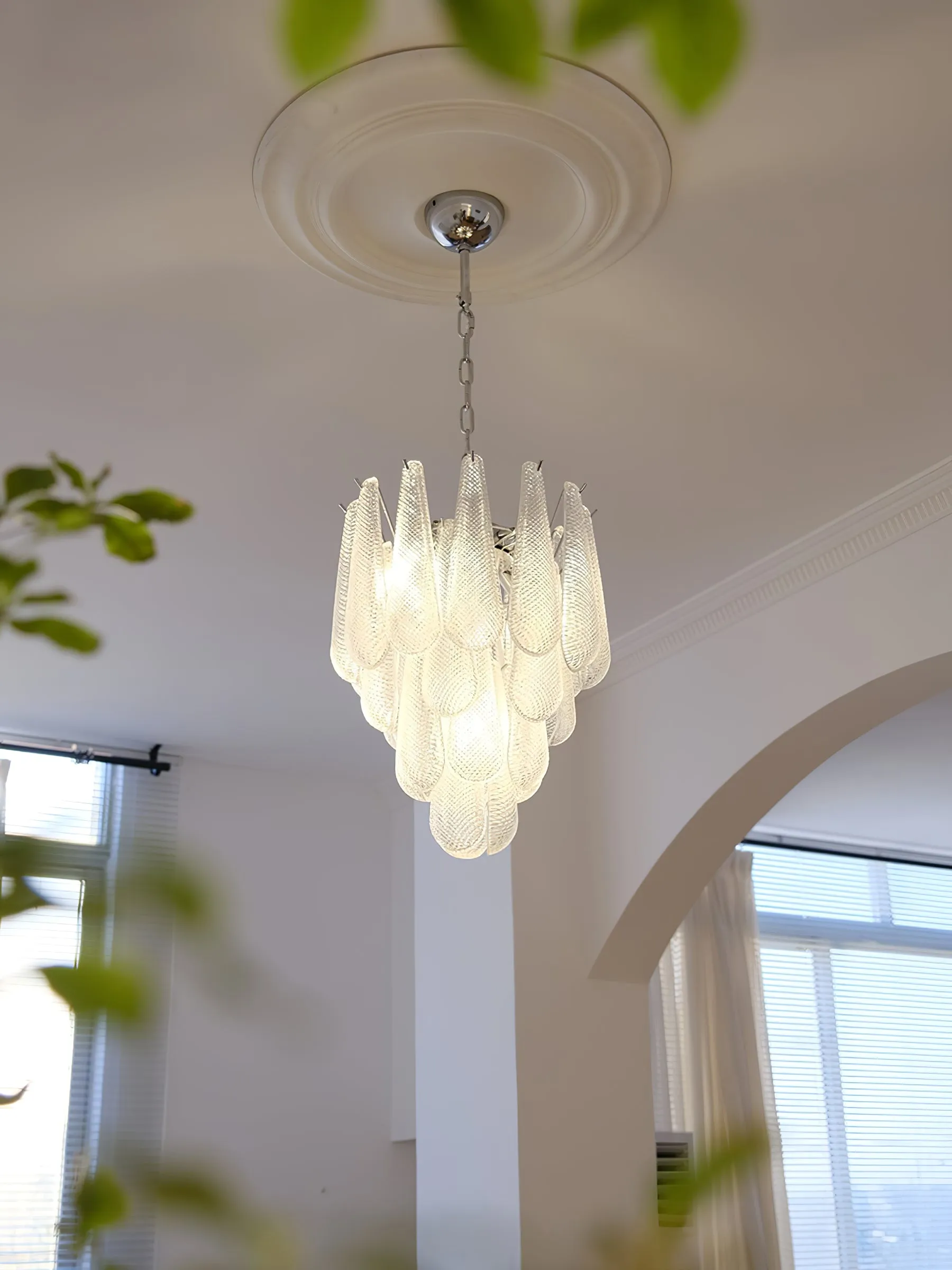 Case Glass Chandelier