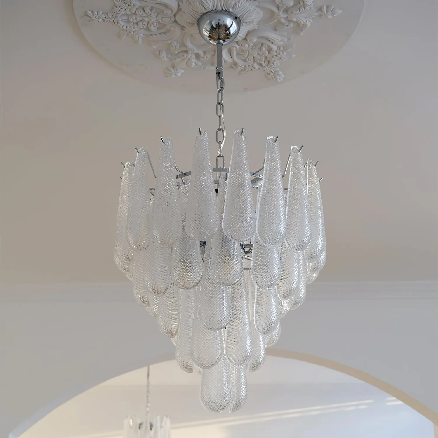 Case Glass Chandelier