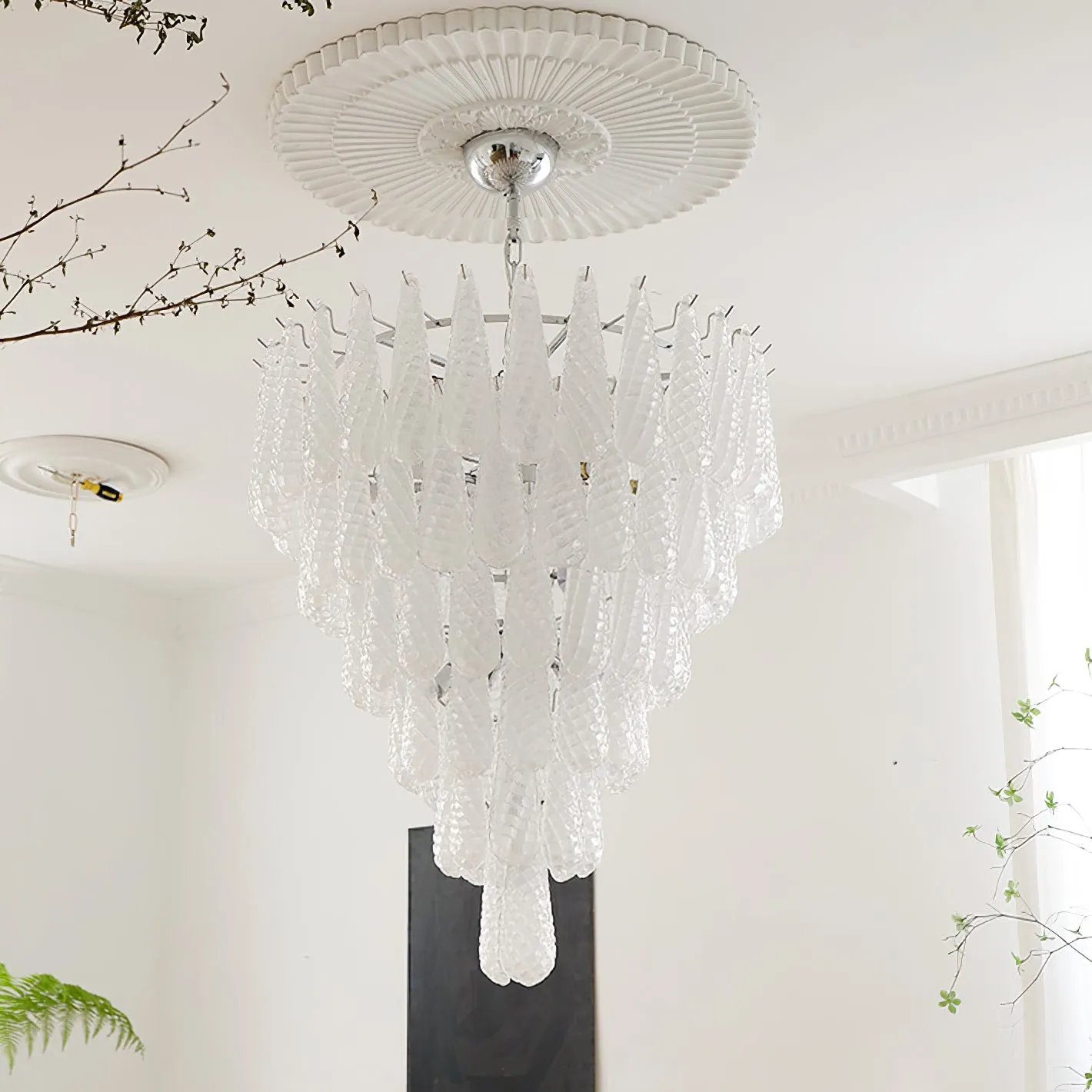 Case Glass Chandelier