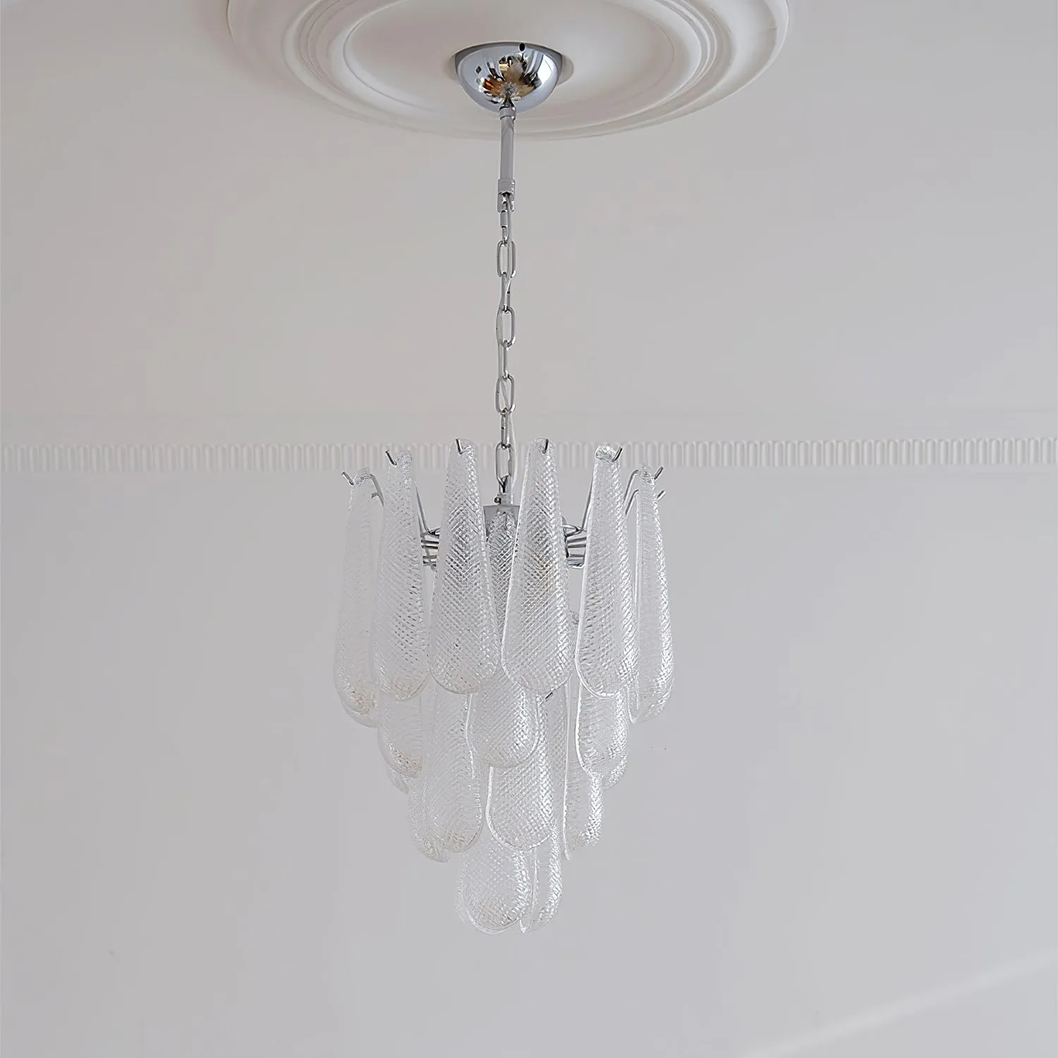 Case Glass Chandelier