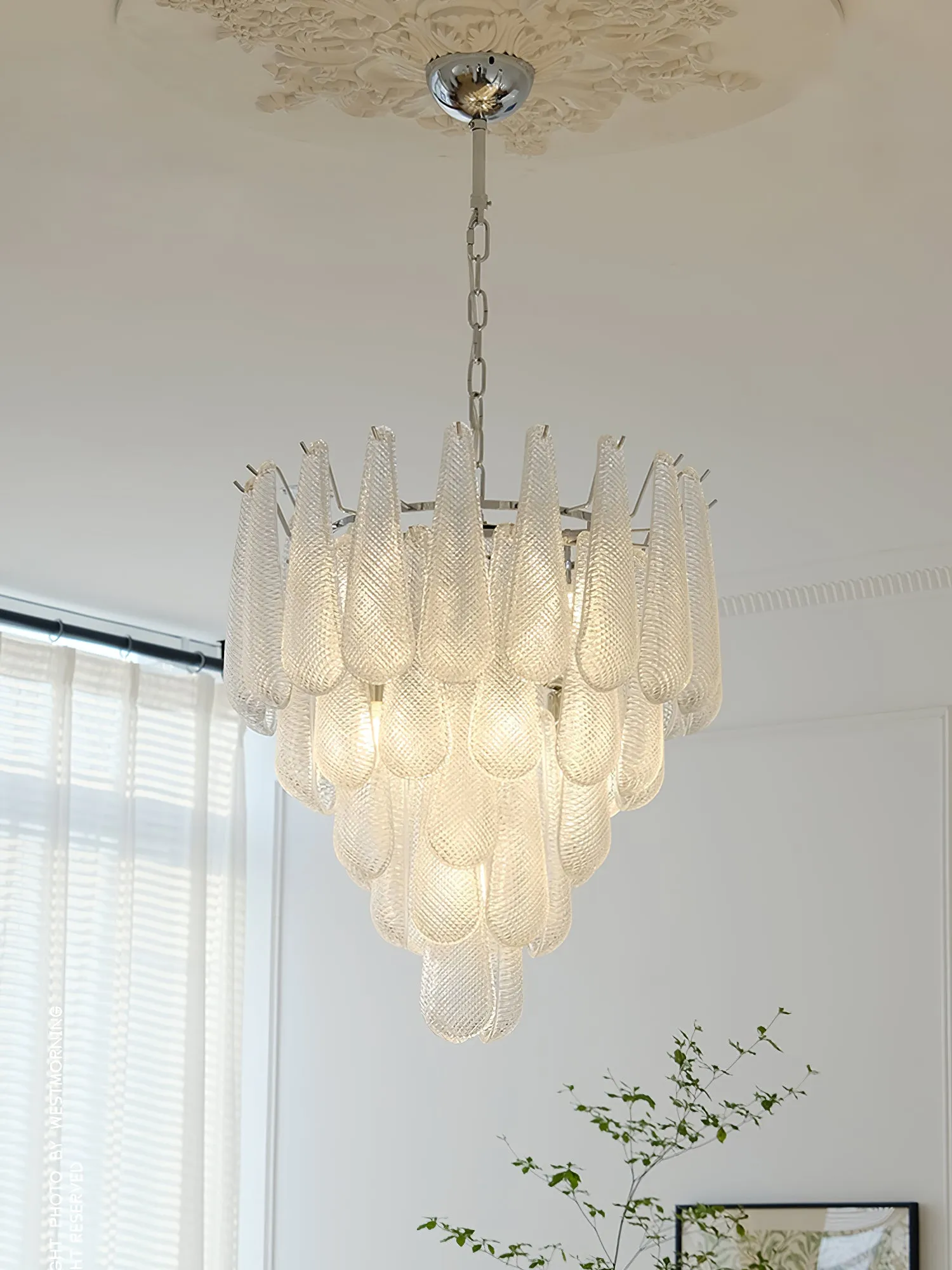 Case Glass Chandelier