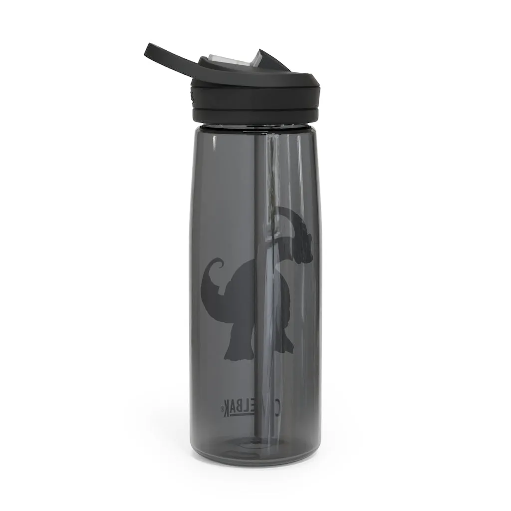 Chrisikle CamelBak Eddy®  Water Bottle, 20oz / 25oz