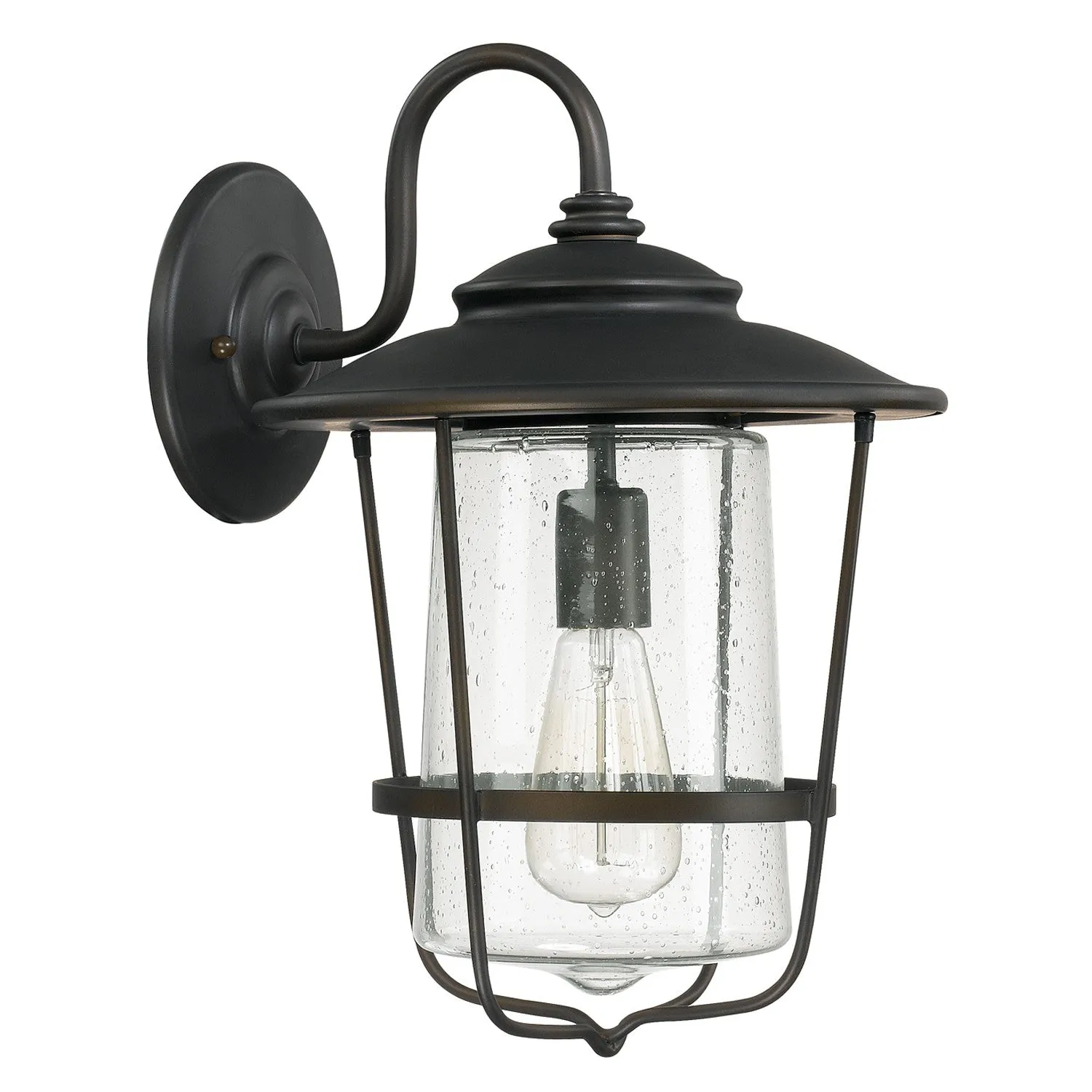 Creekside 1-Light Outdoor Wall Lantern