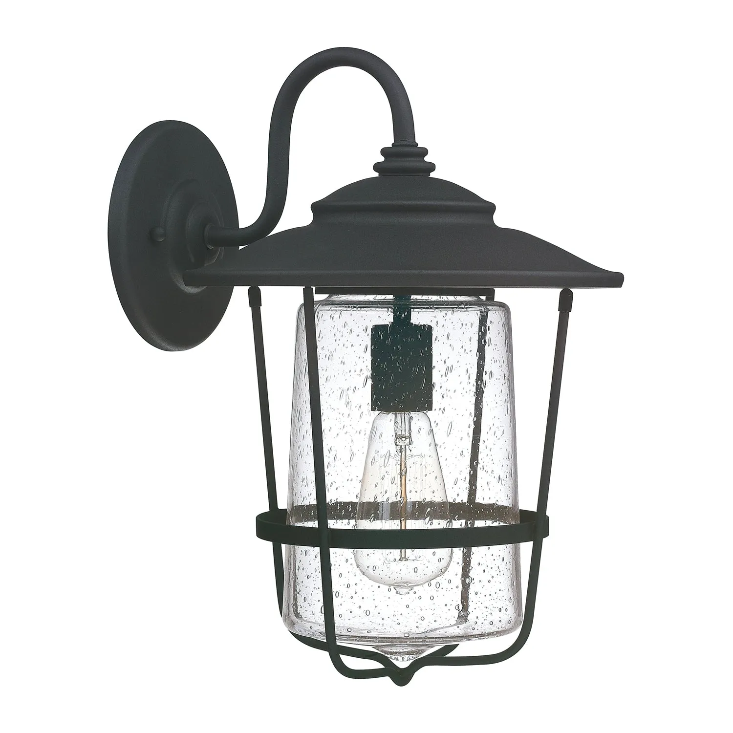 Creekside 1-Light Outdoor Wall Lantern