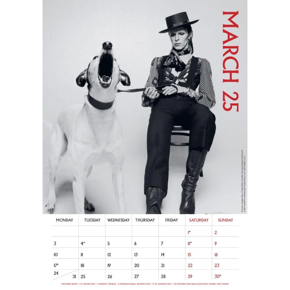 David Bowie Official 2025 A3 Calendar