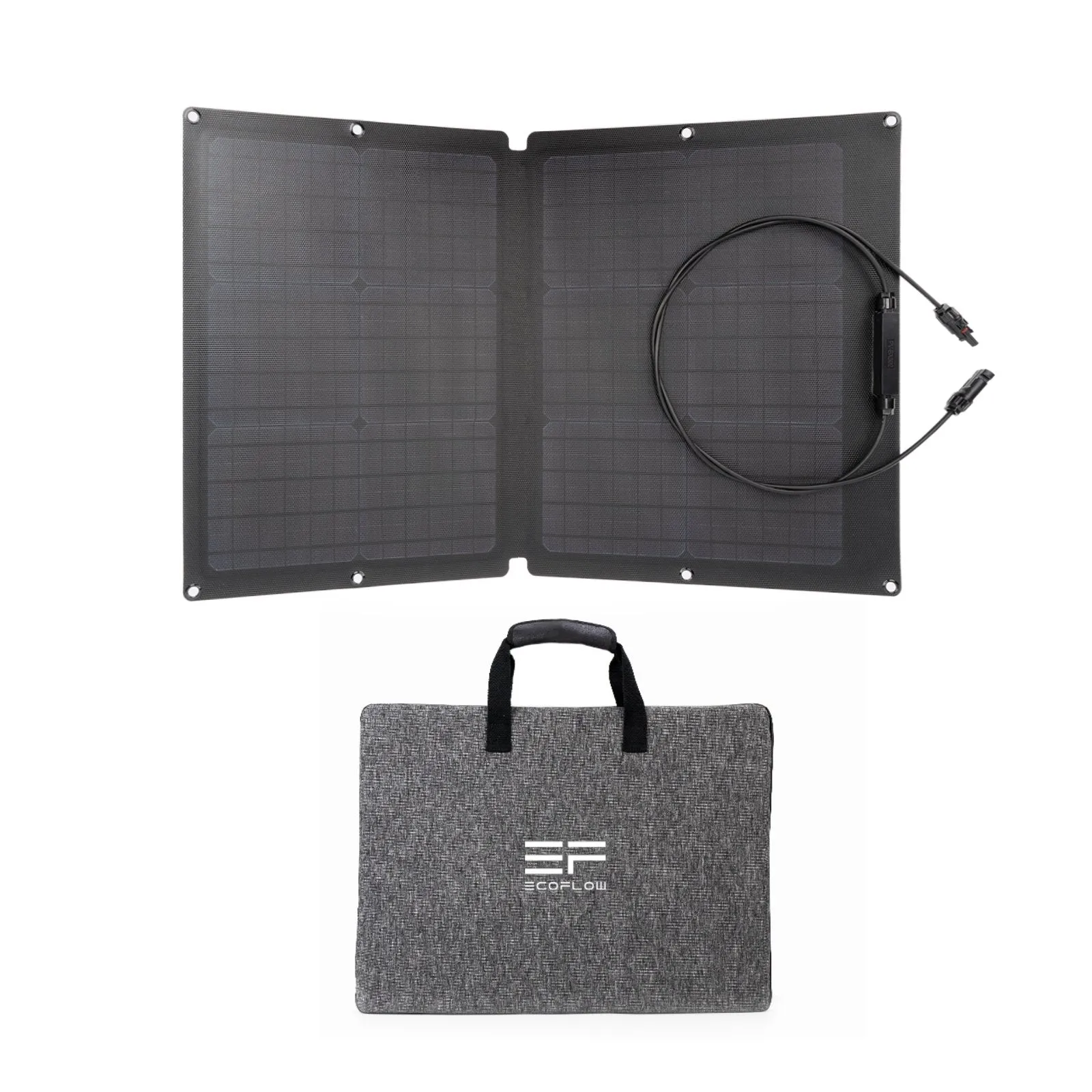 EcoFlow 60W Solar Panel