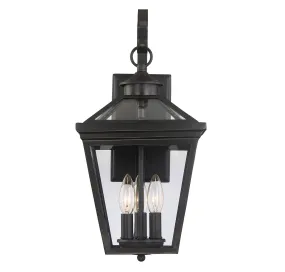 Ellijay 3-Light Outdoor Wall Lantern