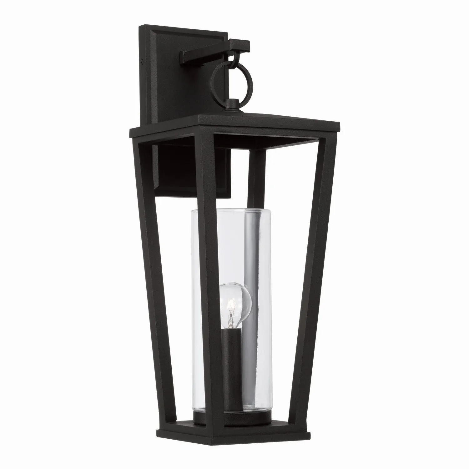 Elliott 1-Light Outdoor Wall Lantern in Black