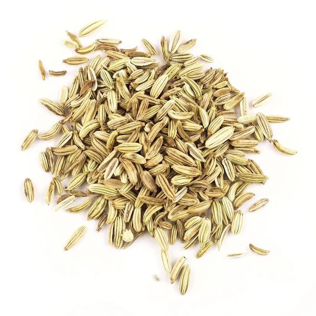 Fennel Seed (Whole)