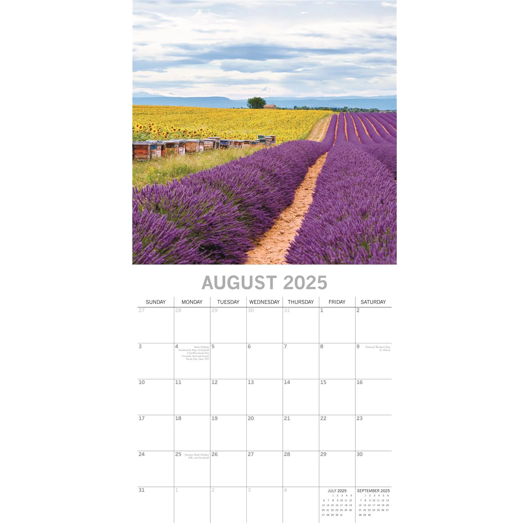 Lavender Wall 2025 Calendar