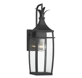 Montpelier 1-Light Outdoor Wall Lantern