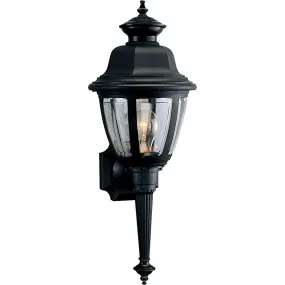 Non-Metallic Incandescent 1-Light Wall Lantern in Black