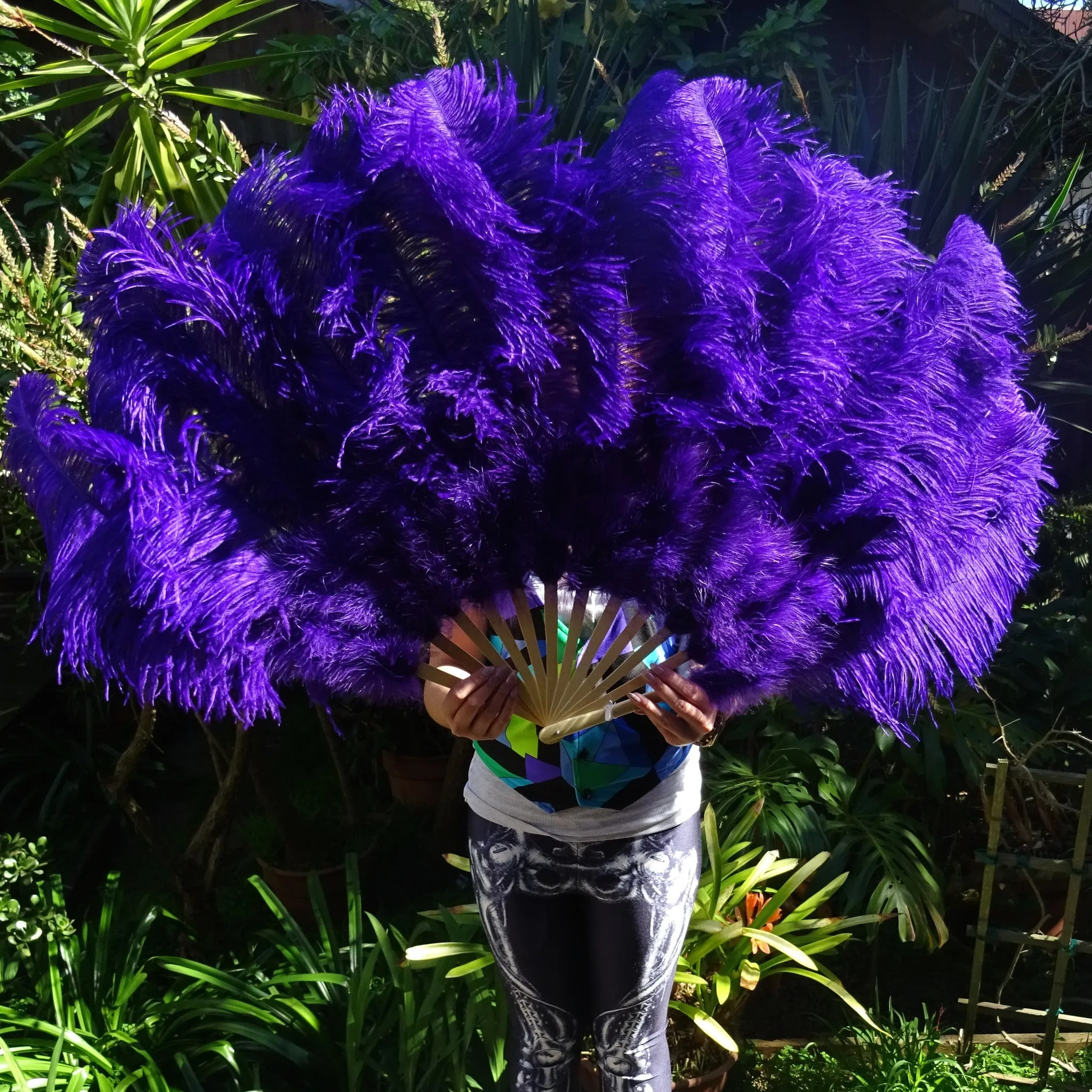 Ostrich Feather Fans