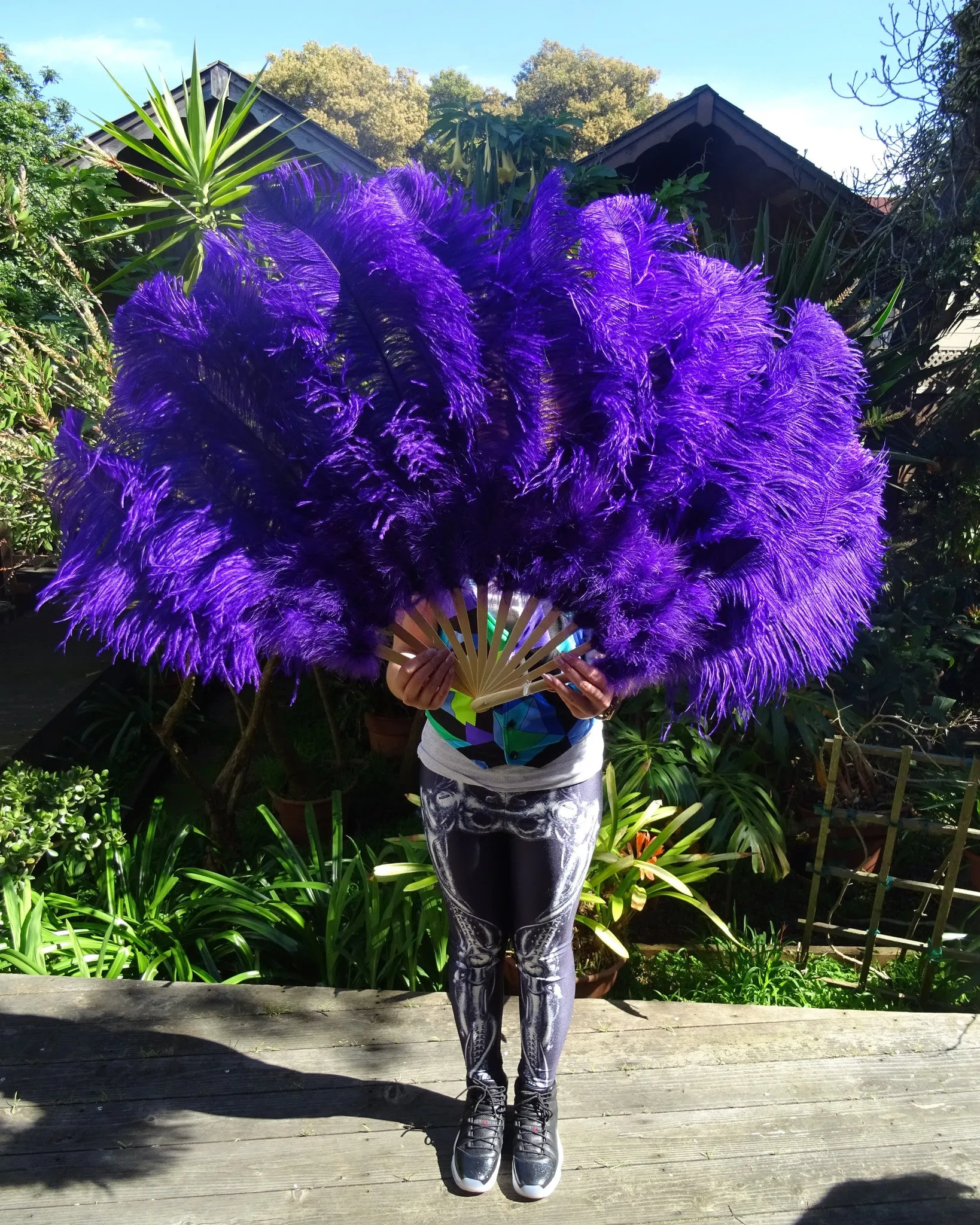 Ostrich Feather Fans