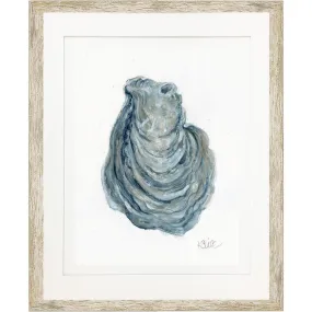 Oyster In Gray 1