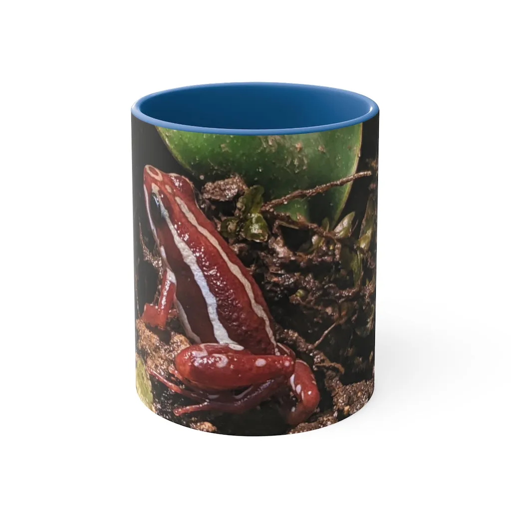 Red Frog Accent Coffee Mug, 11oz