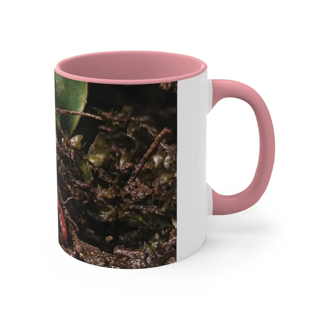 Red Frog Accent Coffee Mug, 11oz