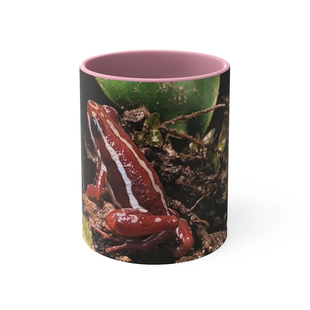 Red Frog Accent Coffee Mug, 11oz