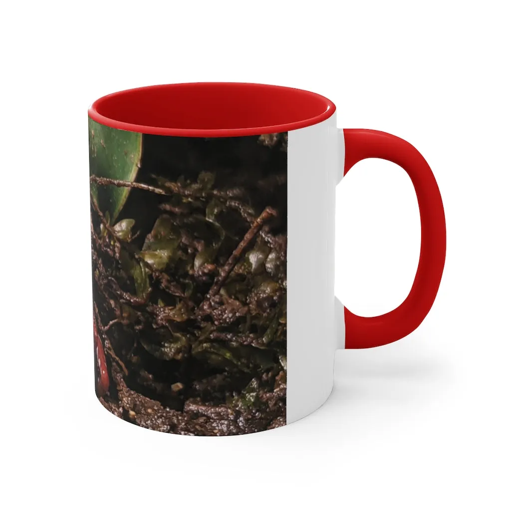 Red Frog Accent Coffee Mug, 11oz