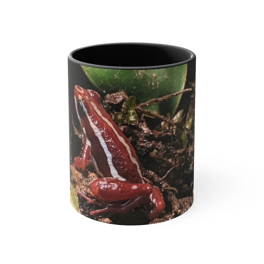 Red Frog Accent Coffee Mug, 11oz