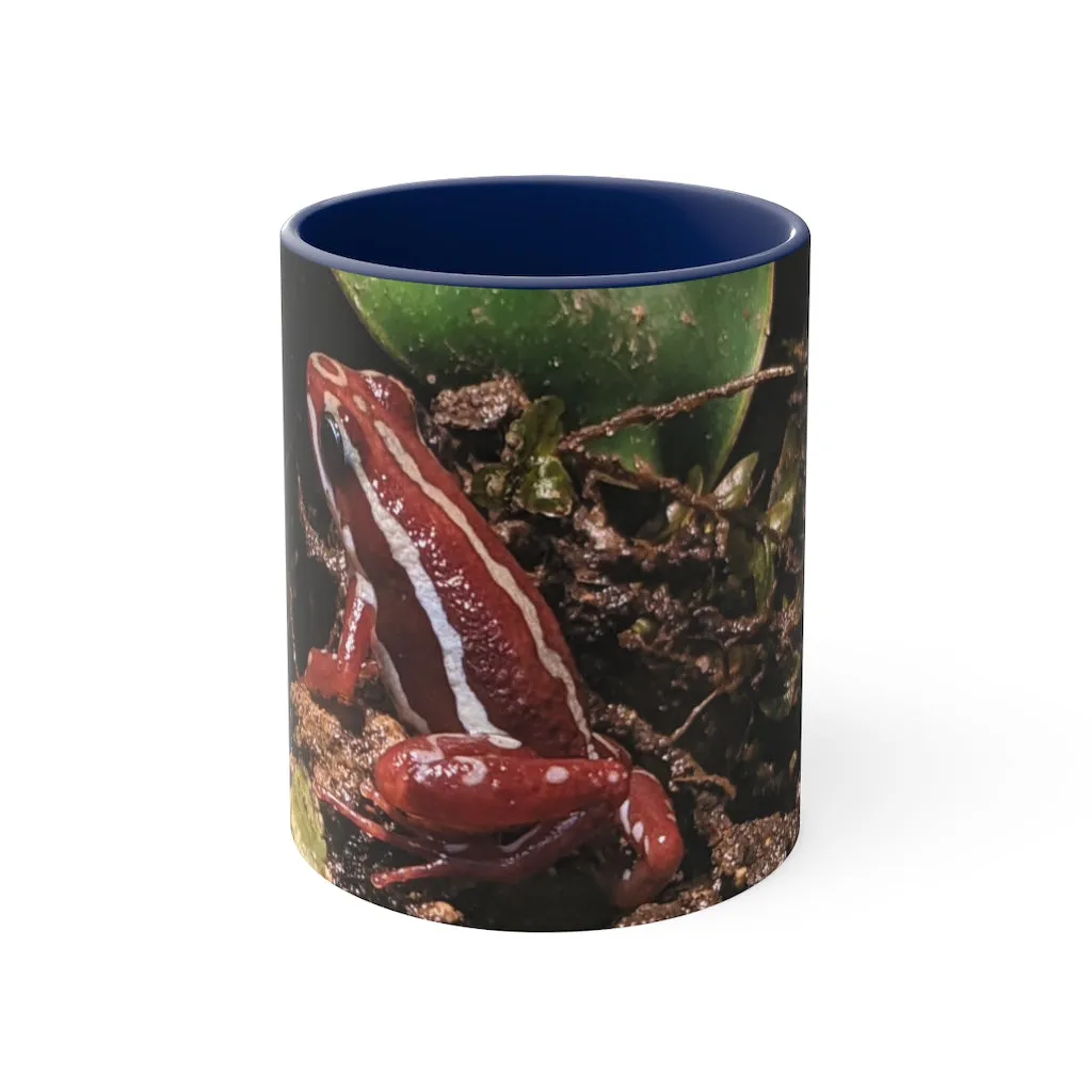 Red Frog Accent Coffee Mug, 11oz