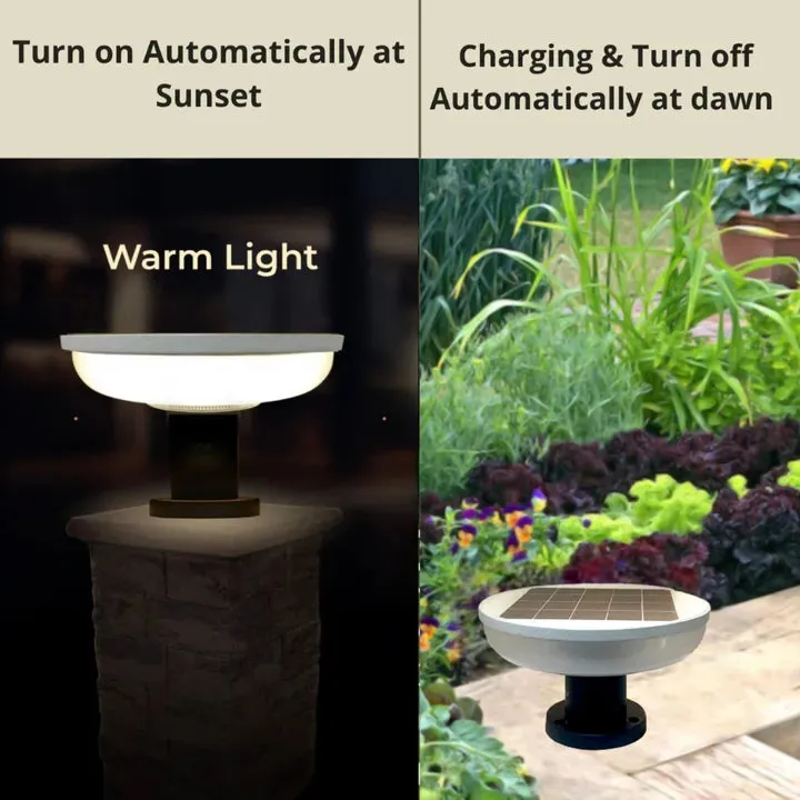 Refurbished Solar Round Main Gate Pillar Decoration Light Waterproof for Home,Garden (Pack of 2)