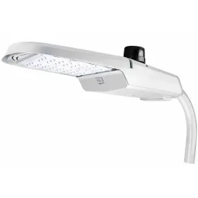 Roadway Luminaire 100 Watt Type III Photometry Silver Gray LED Light