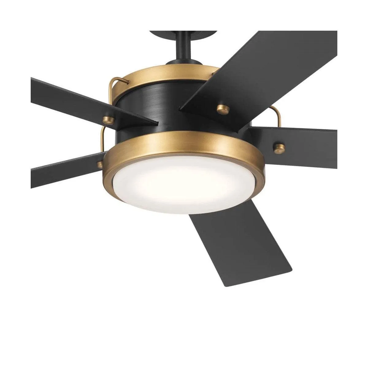 Salvo 56 Inch Black LED Ceiling Fan with Wall Control