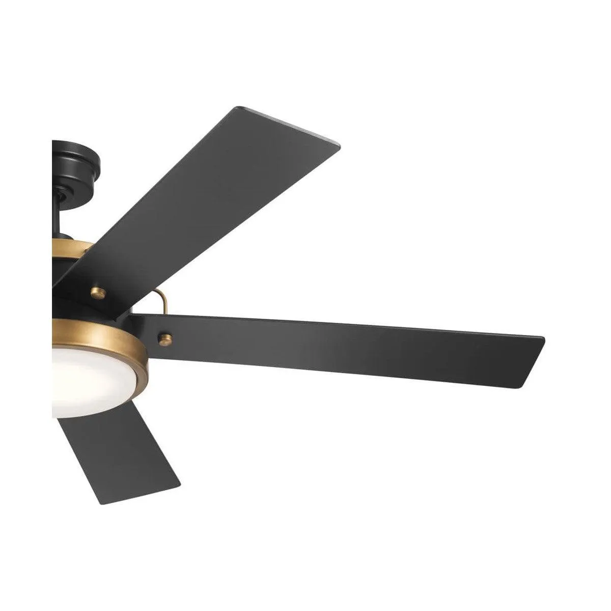 Salvo 56 Inch Black LED Ceiling Fan with Wall Control