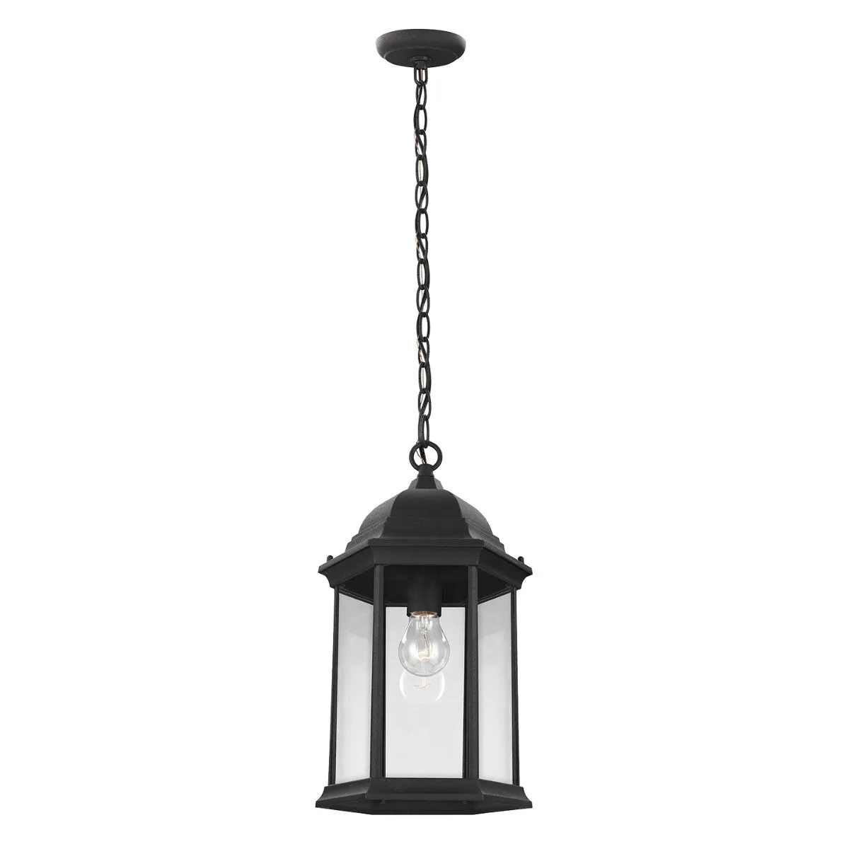 Sevier 1-Light Outdoor Pendant