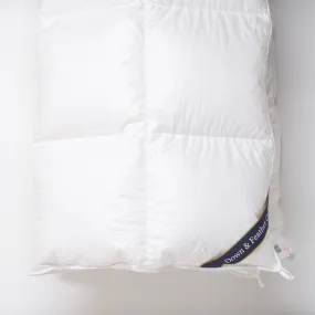 Snuggle Soft 800 Winter Weight Down Comforter - Twin (68" x 90")