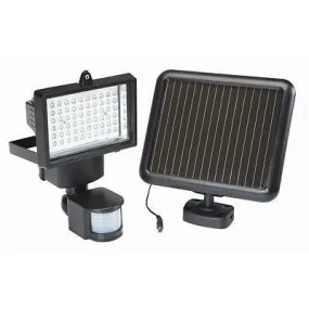 Solar LED Motion Activated Light