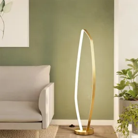 Vallerosa Brushed Brass LED Floor Lamp